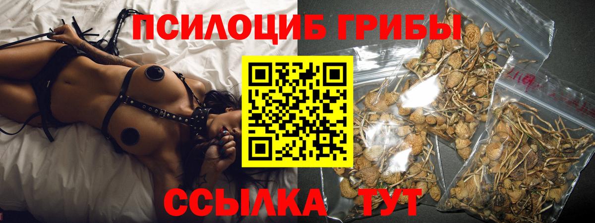 Псилоцибиновые грибы Magic Shrooms  Галлюциногенные грибы Psilocybe  Новотроицк  Вход с VPN 