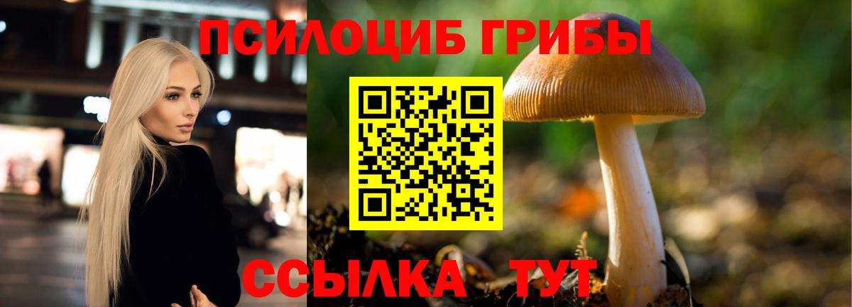 Псилоцибиновые грибы Psilocybine cubensis Новотроицк